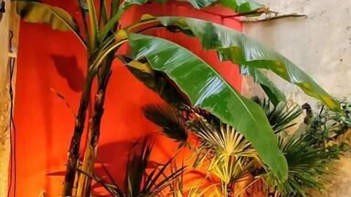 North district Apartment | Your Stopover - Jungle Sauna & Spa