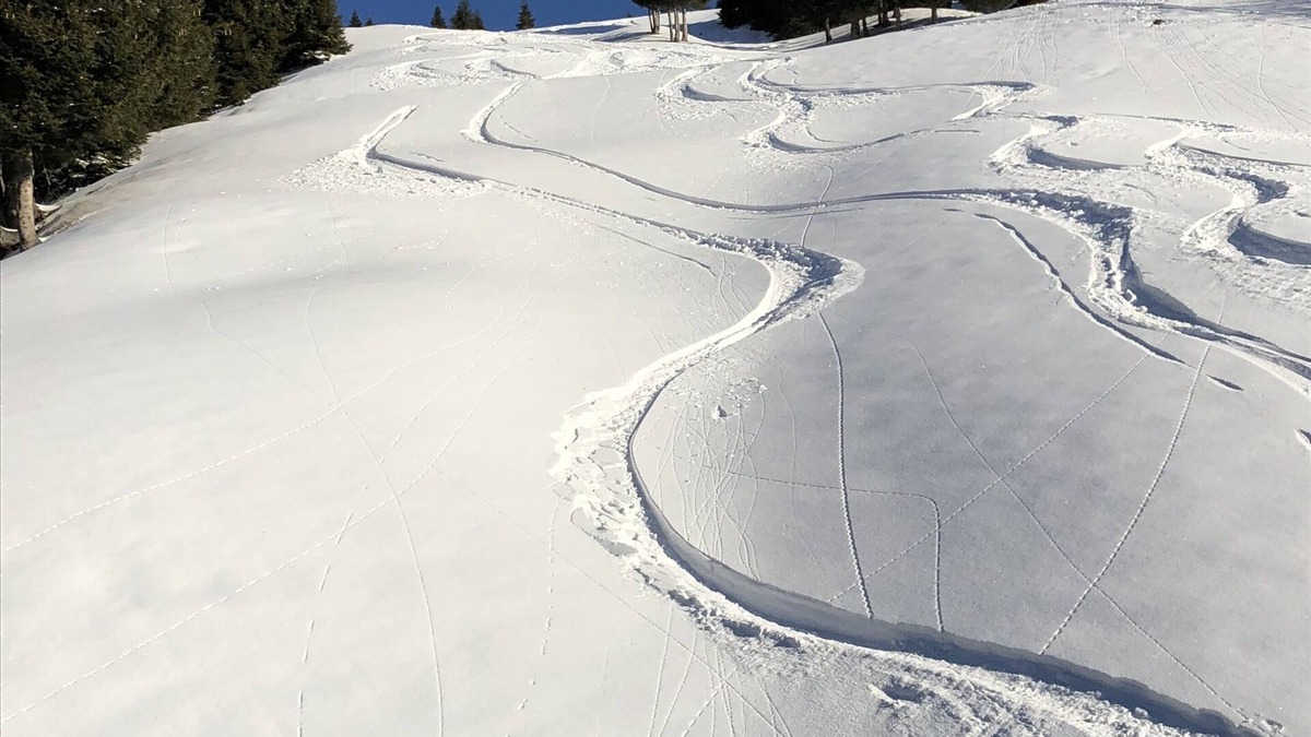 Faschina Apartment | Your vacation apartment in Damüls Faschina | SKI IN /SKI OUT
