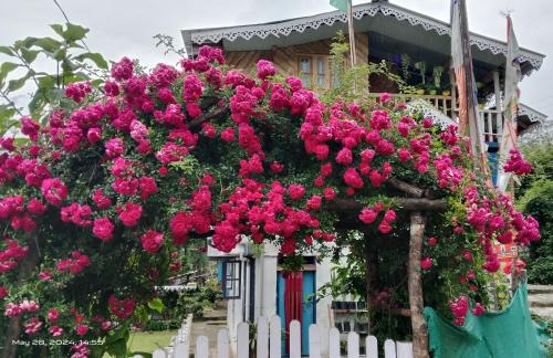 Geyzing House | Yuksam Homestay