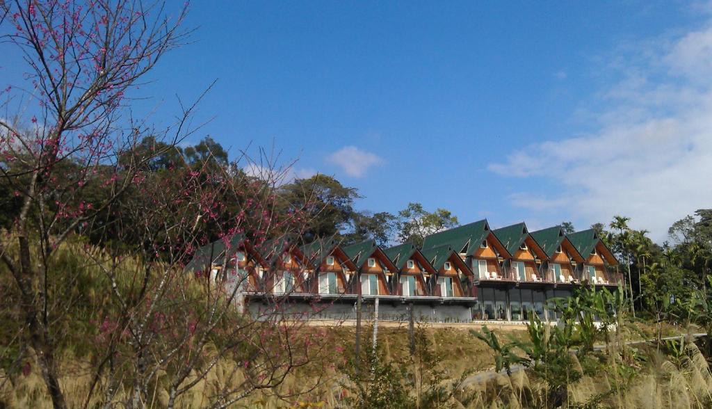 Datong Ski Chalet | Yulan Green Roof