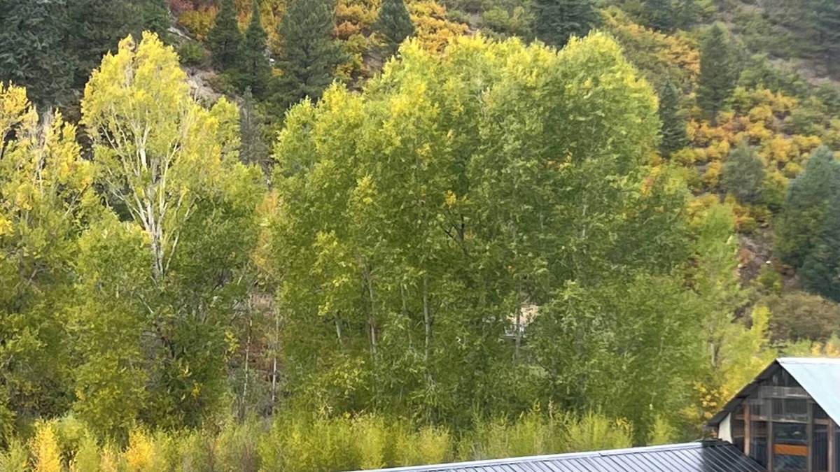 Durango Cabin | Yun-Shui Garden nWhere Clouds Drift, Water Flows