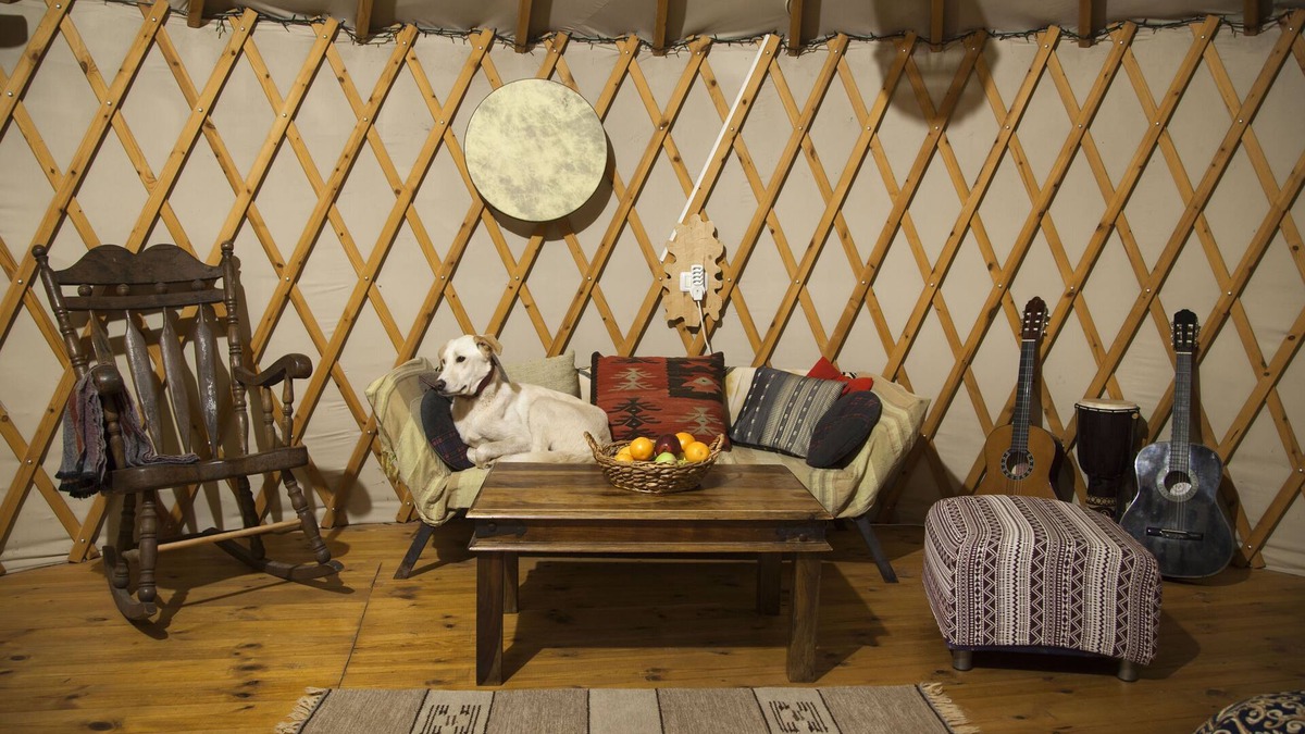 Amirim Ski Chalet | Yurt located in a little oak grove