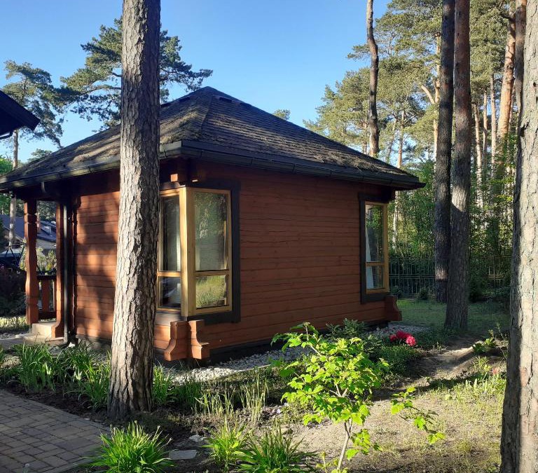 Plavniekkalns Ski Chalet | Zīlīšu holiday house