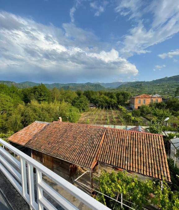 Vani Bed & Breakfast | Zaali's wine cellar