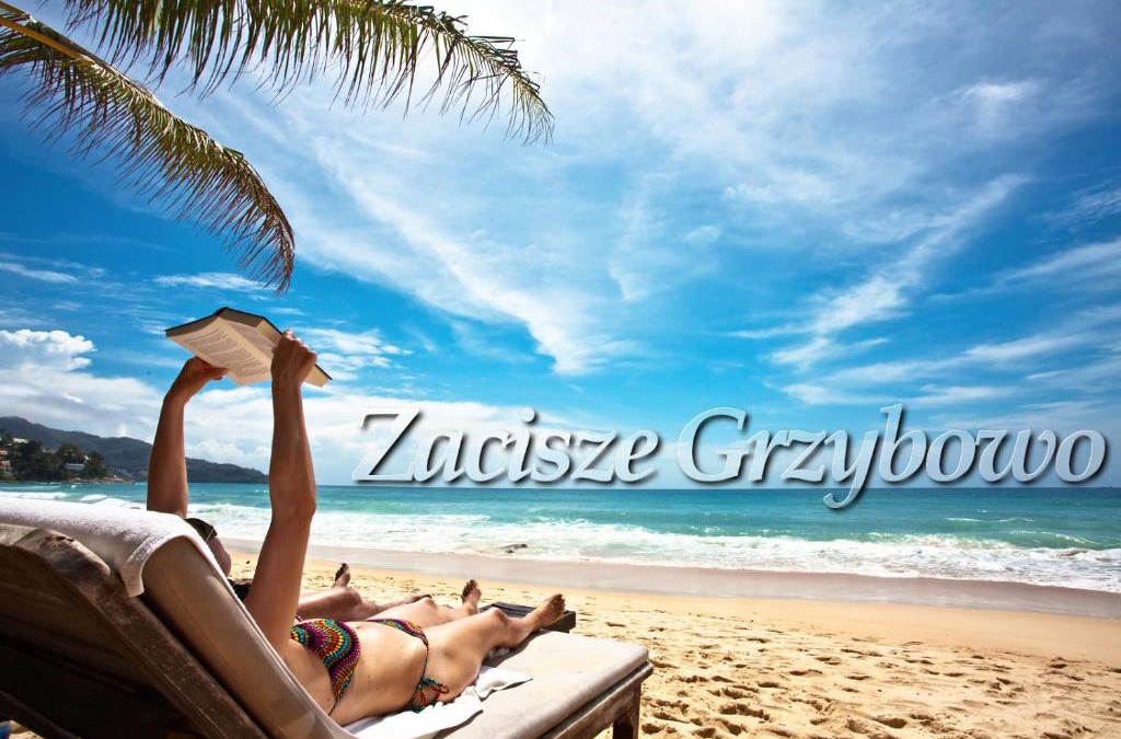 Grzybowo Apartment | Zacisze Grzybowo