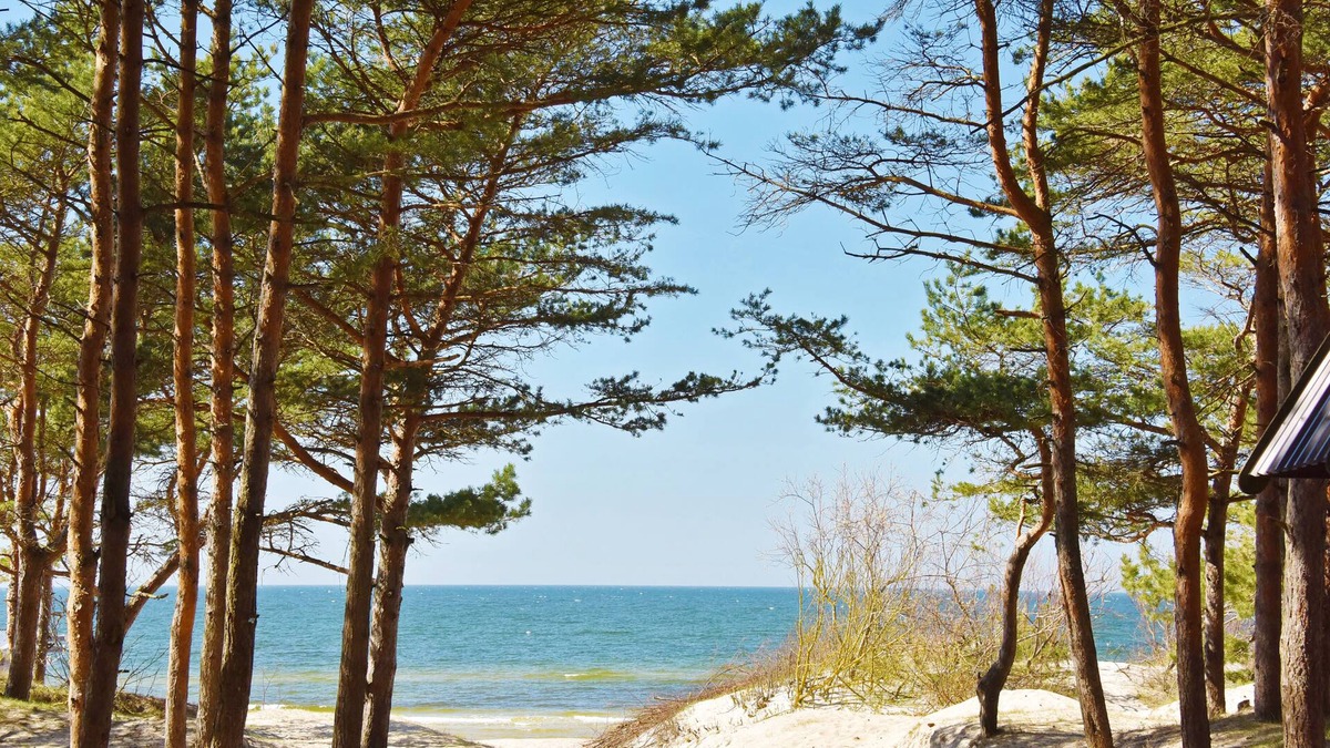 Palanga Cottage | Žalia kopa House near the beach, the terrace the forest view.