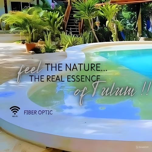 Tulum City Center Hotel | Zamunda Garden View