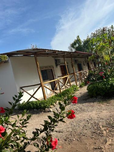 Uroa Apartment | Zanzllywood Uroa Beach Apartments