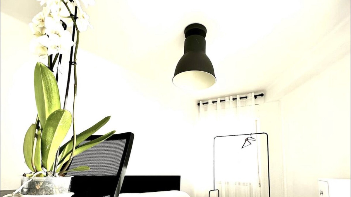 Casetas Apartment | Zebra Apartment - 10 min from the center!