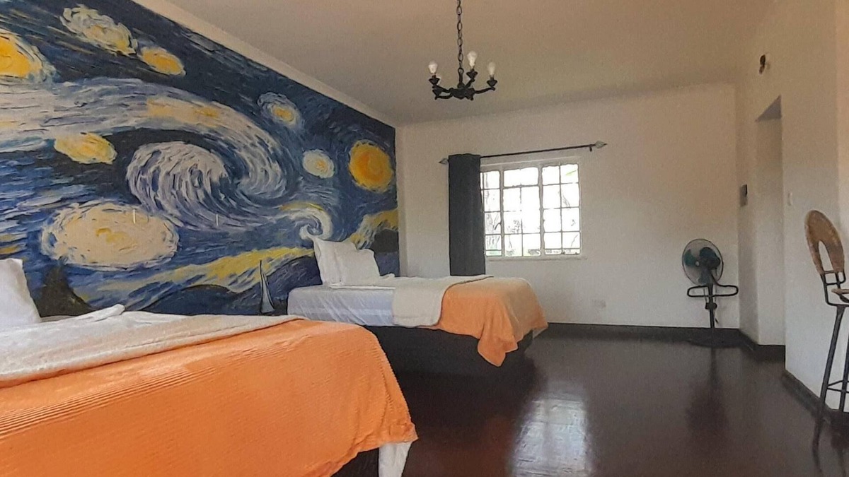 Chinhoyi Bed & Breakfast | Zebras Dazzle B&B | Van Gogh twin-room