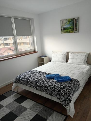 Sinnicoara Apartment | Zen aeroport