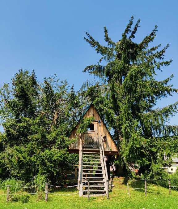 Kamnik House | Zen among the trees