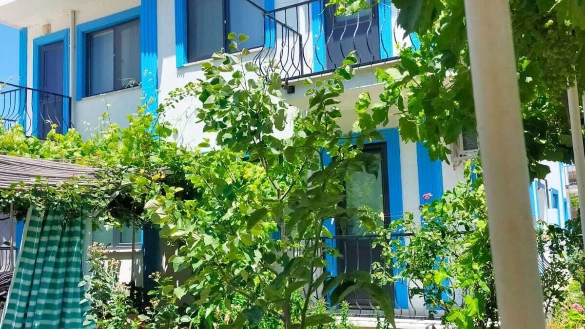 Geyikli Bed & Breakfast | Zeytin Cicegi Pansiyon