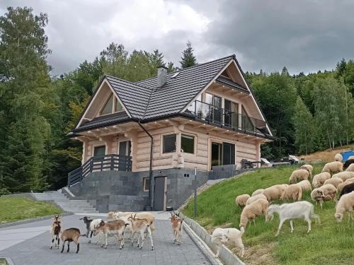 gmina Bystra-Sidzina House | Zielone Wzgórze