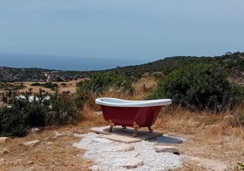 Pareklisia House | Zima Edge