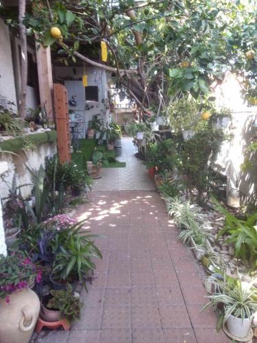Rehovot Cabin | Zimer in rehovot