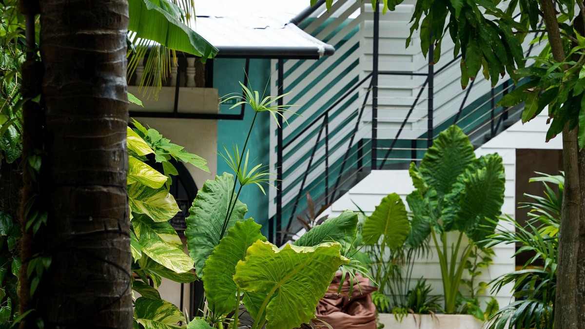 Maafushi House | Zinnia Villa