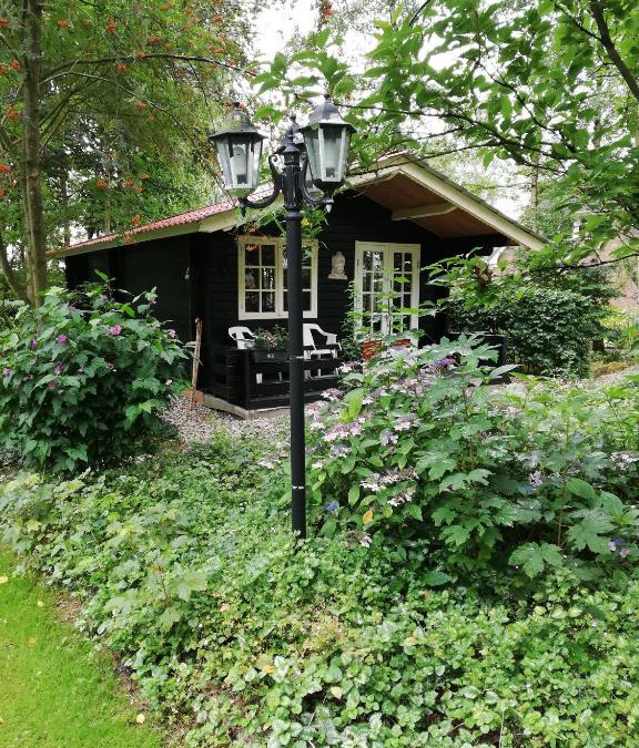 't Haantje House | Zizania
