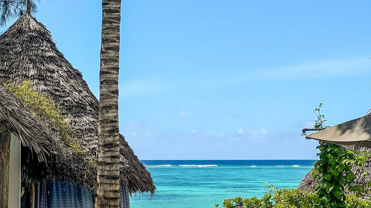 Matemwe Hotel | Zoi Retreat Hotel Zanzibar
