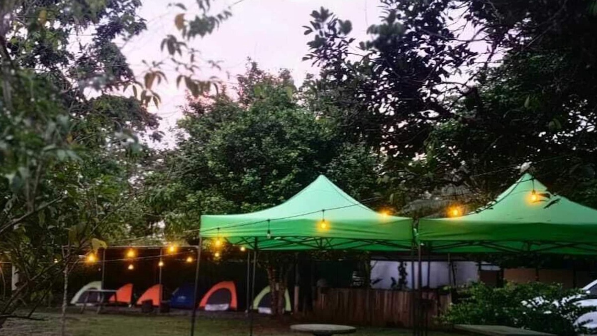 Palma RV Rental | Zompopas Trail