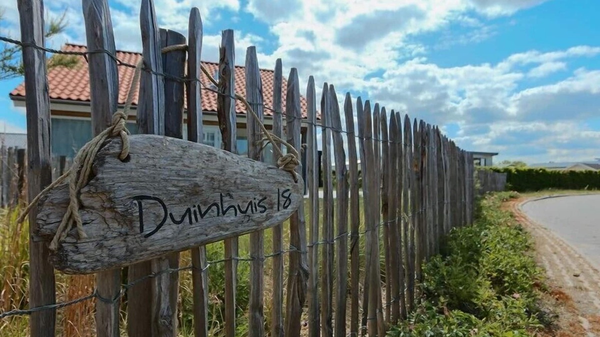 Renesse Villa | Zonnedorp 18 modern holiday villa right at the North Sea dunes