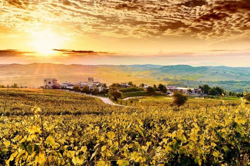 Harsovo Resort | Zornitza Family Estate Relais & Chateaux