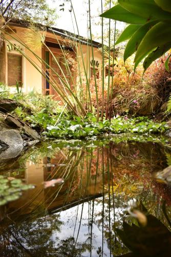 Sutamarchan House | Zuna