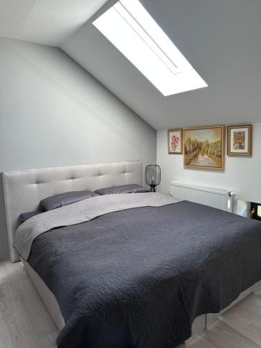 Oelsnitz Apartment | Zwillinge Ferienwohnung am Markt