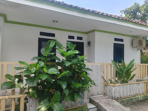 Bandulu House | Zzz Motel