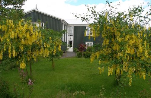 Storinupur Apartment | Ásaskóli
