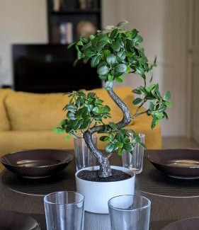Paray-Vieille-Poste Apartment | Évasion - Orly à 12 min de Paris