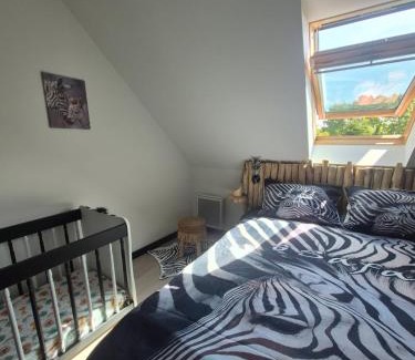 Saint-Martin-Boulogne Apartment | ô Safari appart 8p prôche de Boulogne-sur-mer