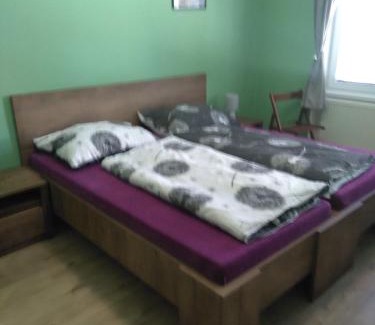 Breclav Apartment | Čechovka