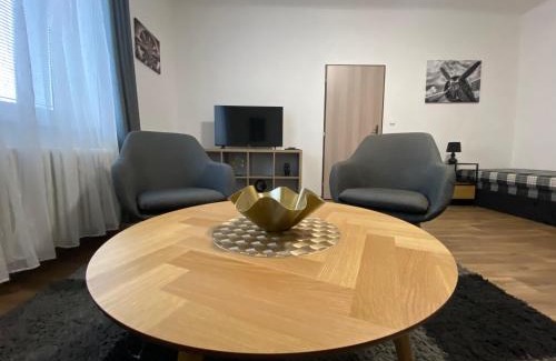 Plzen 2-Slovany Apartment | Černá Růže - Apartmán 3
