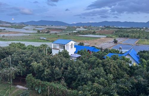 Don Duong House | Điểm du lịch canh nông Avocado Farm