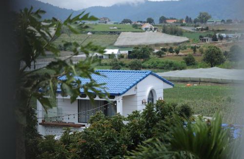 Don Duong House | Điểm du lịch canh nông Avocado Farm