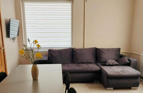 Panevezys county Apartment | Širvėnos namai - penkiavietis numeris