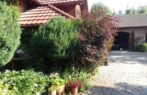 Lisewiec House | Żuławka