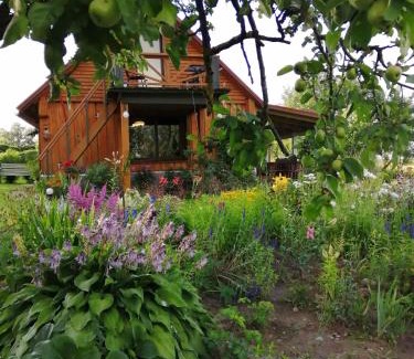 Klykiai Cabin | Žalioji
