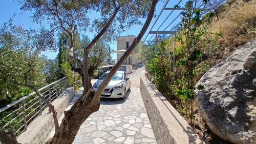 Nafplio House | Πέτρα, Ελιά και Λεβάντα