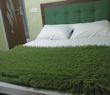 Yerevan Apartment | Зелёный дом рай