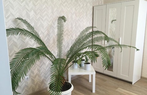 Tsentralnyy okrug Apartment | Квартира на Дружбе