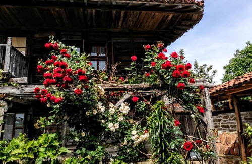 Zheravna House | Къщата на художника