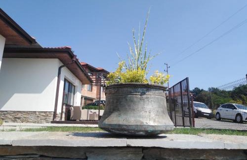 Gabrovo House | къща за гости ЯНА