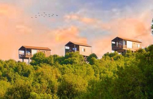 Jordan Cabin | اكواخ سفاري السياحية