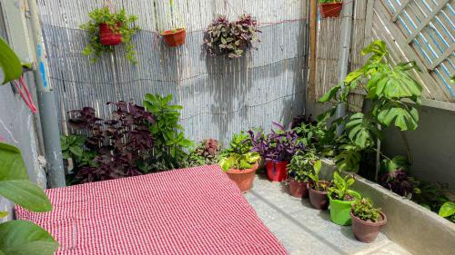 Amtar Apartment | شاطئ الهدوء أمتار - استأجر كوخ محمد الربون ليوم من الاسترخاء