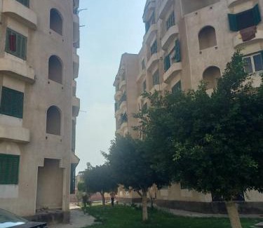 New Damietta Apartment | شقه الفردوس