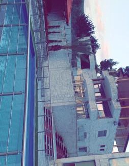 Suwailih Other | منتجع تل الورد