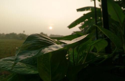 Mueang Nga House | ต้งโฮมหละปูน ณ ตูบคำ