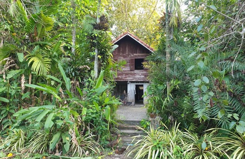 Nong Khai House | บ้านสวน โฮมสเตย์